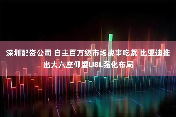 深圳配资公司 自主百万级市场战事吃紧 比亚迪推出大六座仰望U8L强化布局