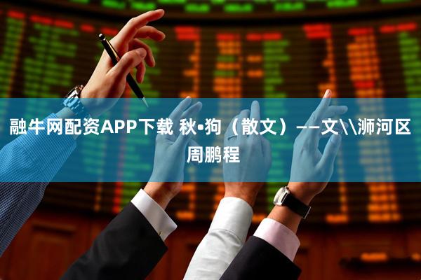 融牛网配资APP下载 秋•狗（散文）——文\浉河区 周鹏程