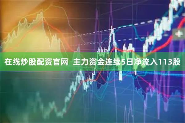 在线炒股配资官网  主力资金连续5日净流入113股